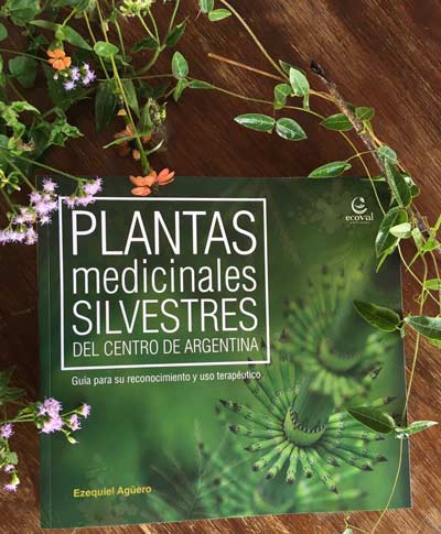 Tapa del libro Plantas Medicinales Silvestres del Centro de Argentina